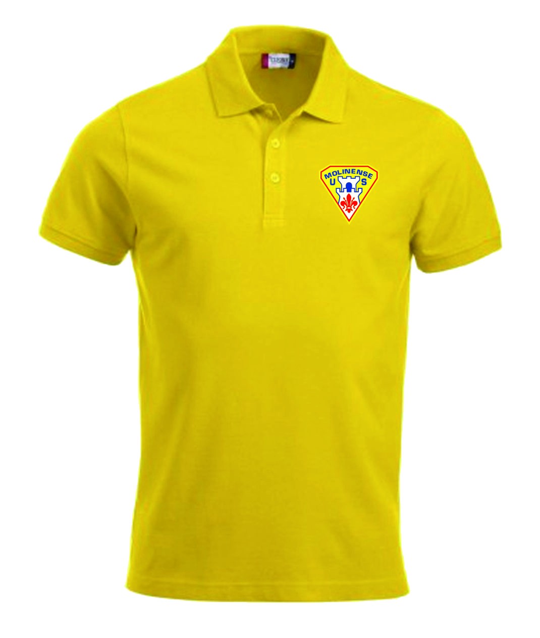 Polo Rappresentanza Molinense