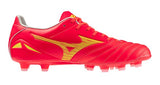 MORELIA NEO IV PRO - Corallo
