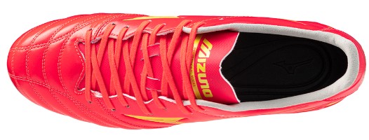 MORELIA NEO IV PRO - Corallo